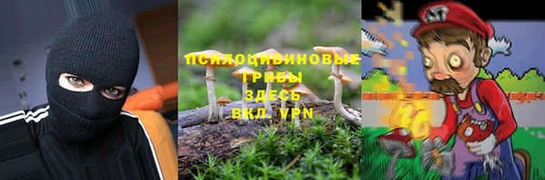 амф Абинск