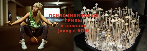амф Абинск